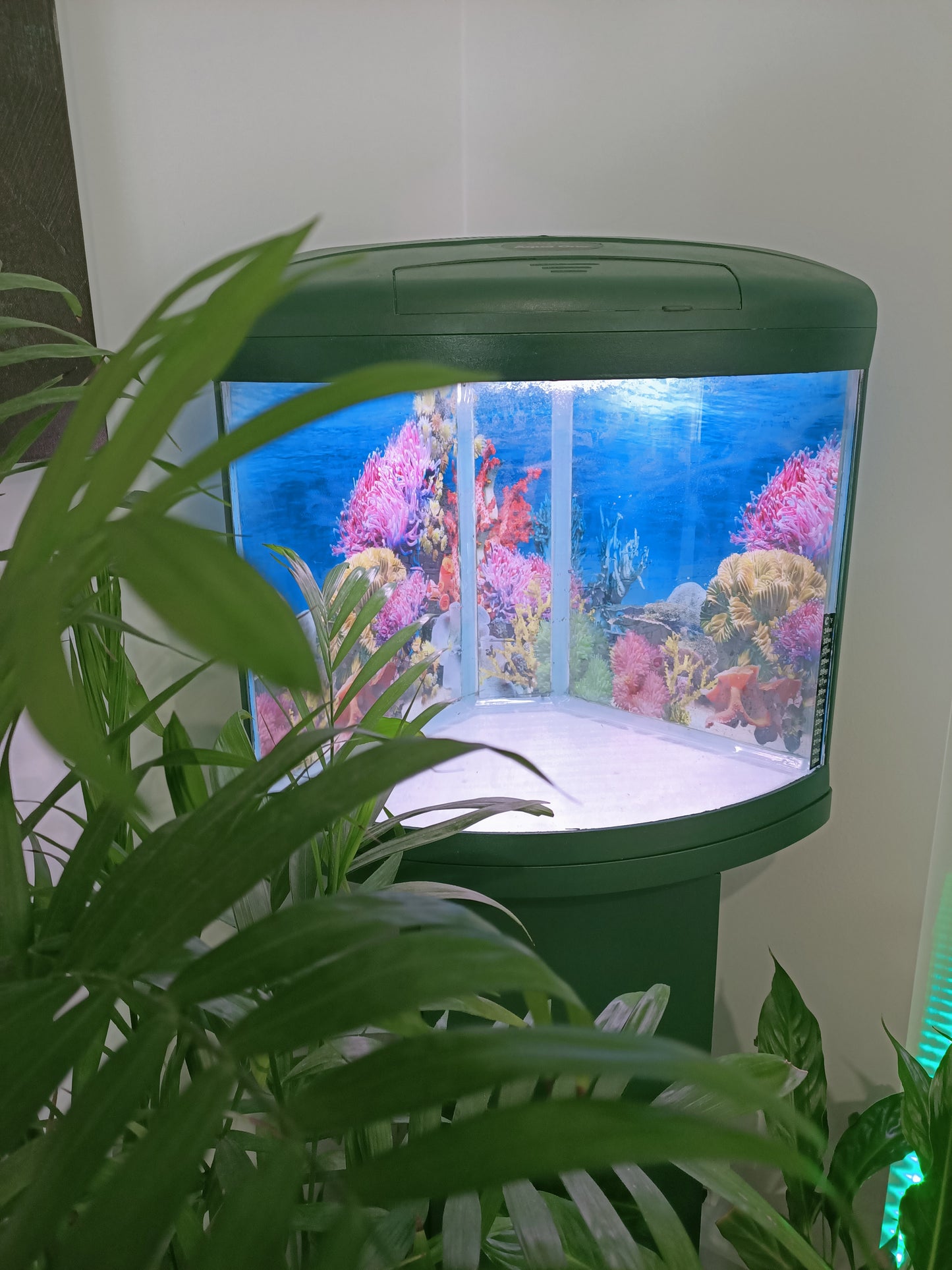 Painted Green Aqua One 350 Corner Fish Tank & Stand